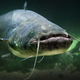 Illustration for article titled Goodbye, World: Loch Ness Monster Is Probably a Fucking Catfish